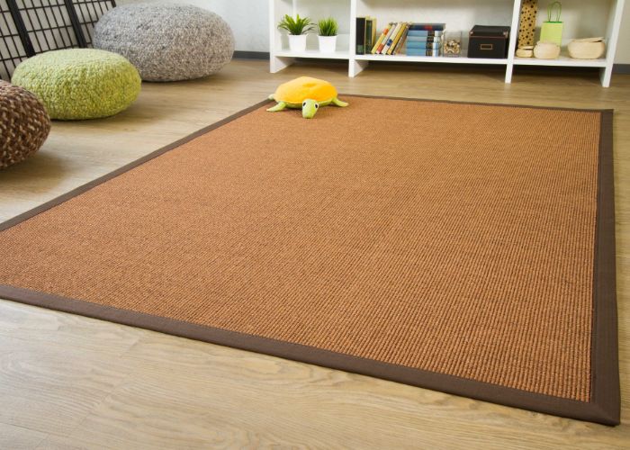 Best sisal carpet