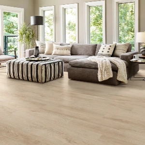 Vinyl Flooring in Apartments